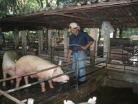 /album/fotogaleria/respaldo-fotos-estudiante-106-jpg/